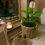 Vaenvik Pyhtaeae シャレー Siltakylä