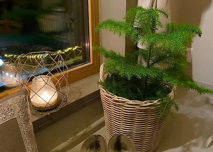 Vaenvik Pyhtaeae 木屋 Siltakylä